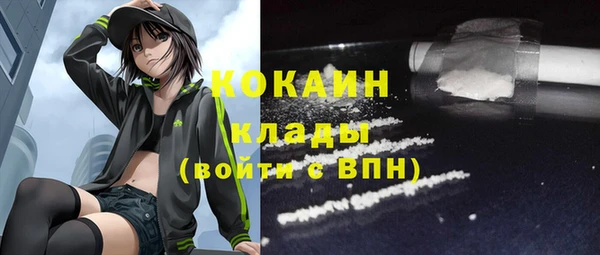 метадон Няндома
