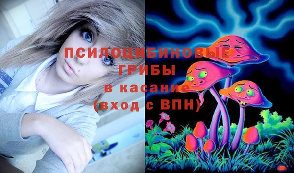 индика Осинники