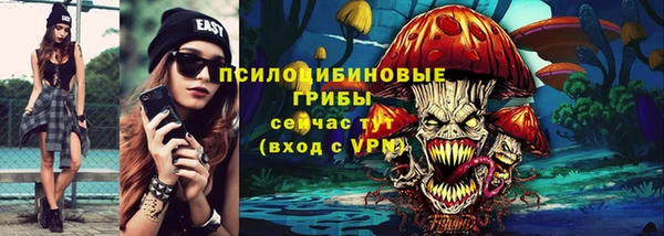 индика Осинники