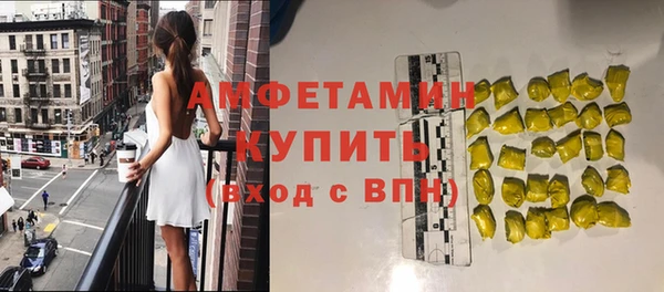 шишки Кадников