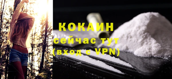 метадон Няндома