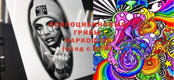 Альфа ПВП Осташков