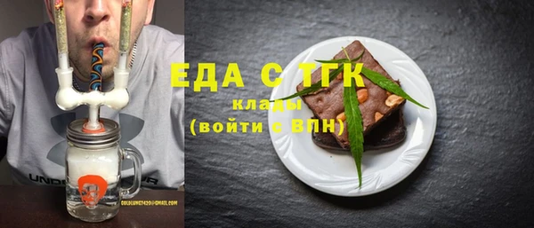 индика Осинники