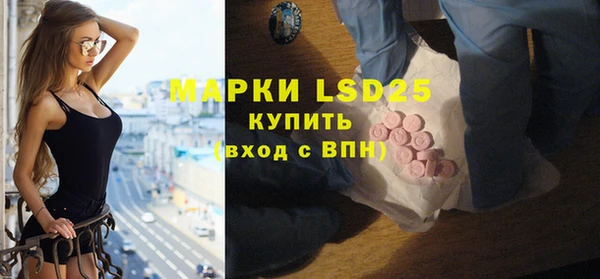 индика Осинники