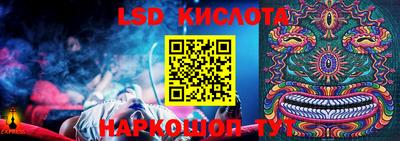 стаф Берёзовский