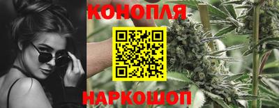 прущие грибы Гусев