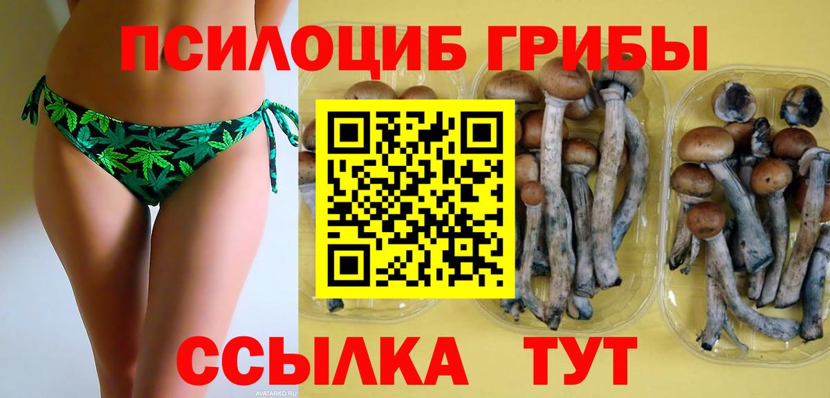 Галлюциногенные грибы ЛСД  Псилоцибиновые грибы мухоморы  Кизляр  Вход с VPN 